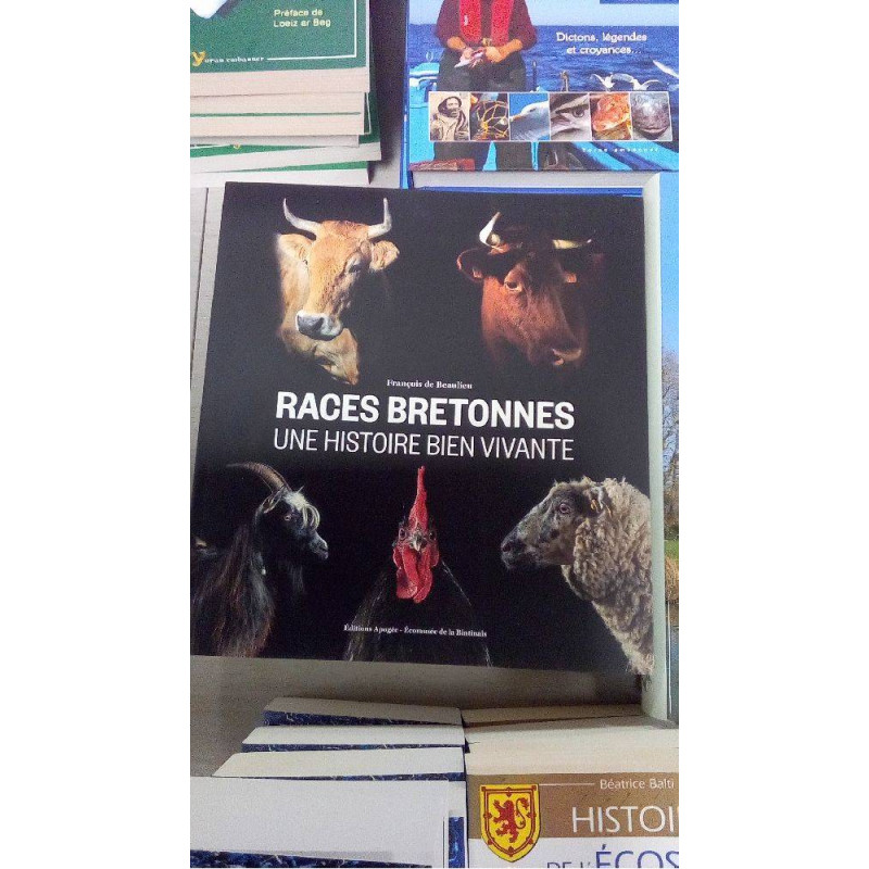 RACES BRETONNES