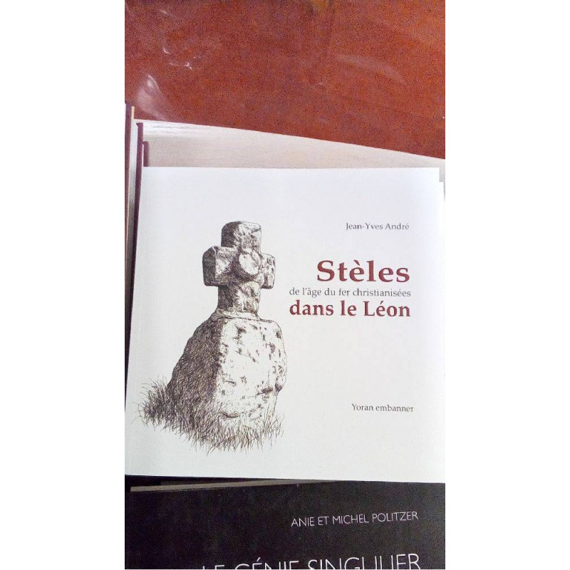 STELES  DANS LE LEON