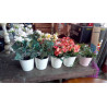 ENSEMBLE DE FLEURS ARTIFICIELLES LE LOT