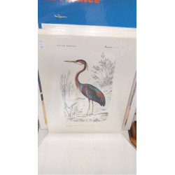 REPRO HERON