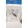 REPRO HERON