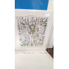 REPRO PLANTES 1 MEDICINALES ABSINTHE